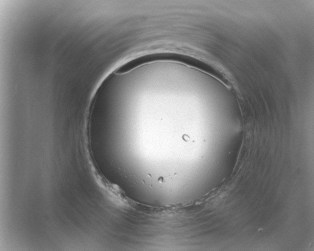 X0000073871530200608312039