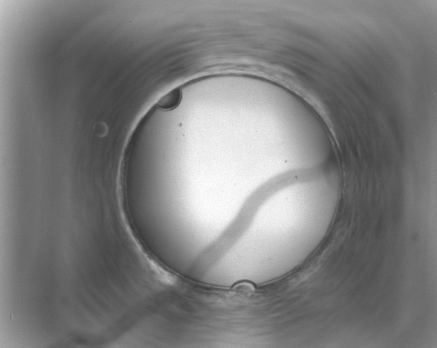 X0000073871533200608312039