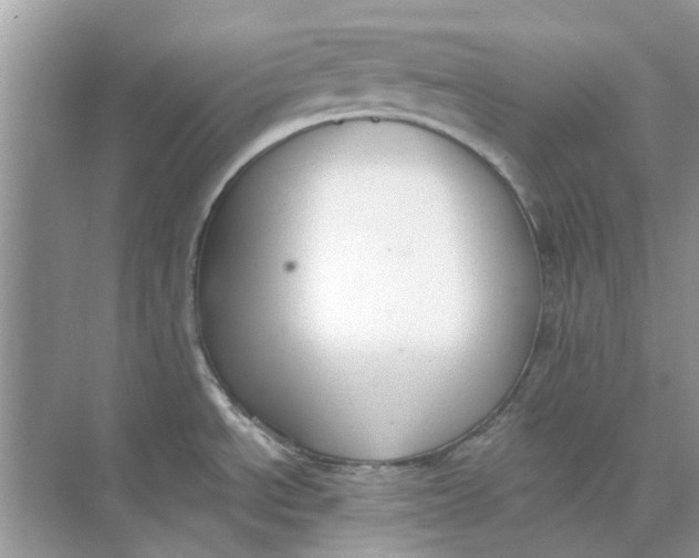 X0000073871534200608312039