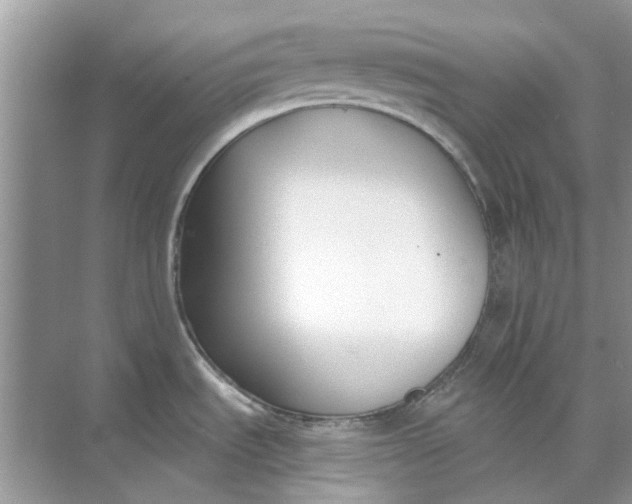 X0000073871535200608312039