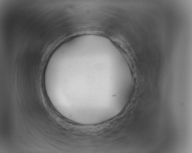 X0000073870001200609071711