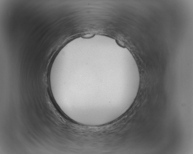 X0000073870002200609071711