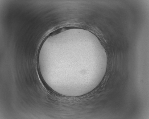 X0000073870003200609071711