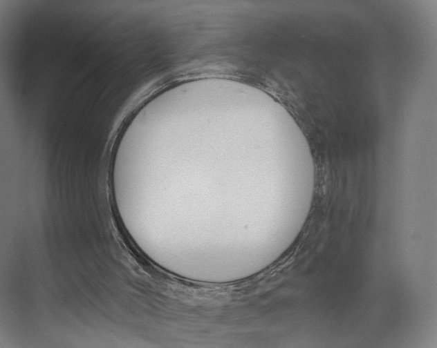 X0000073870004200609071711