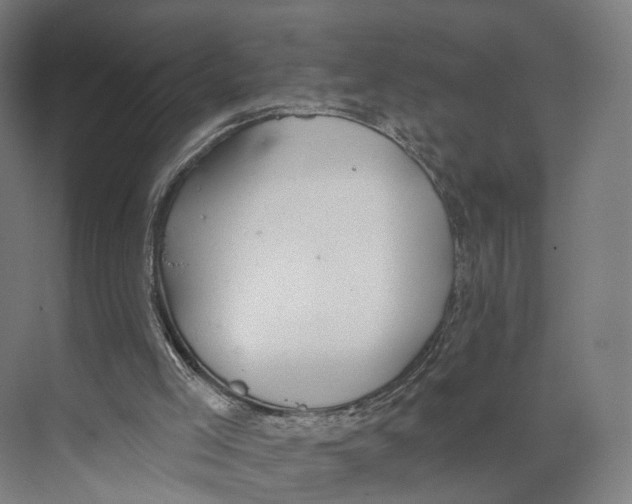 X0000073870005200609071711