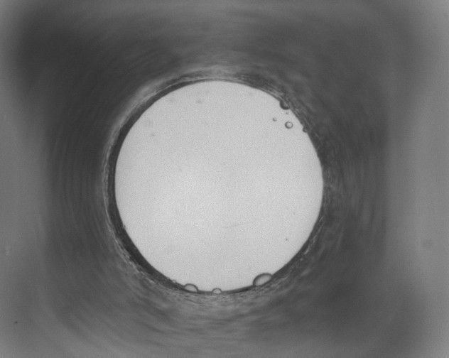 X0000073870006200609071711