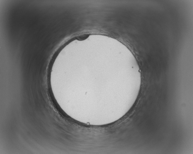 X0000073870008200609071711