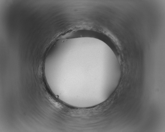 X0000073870009200609071711