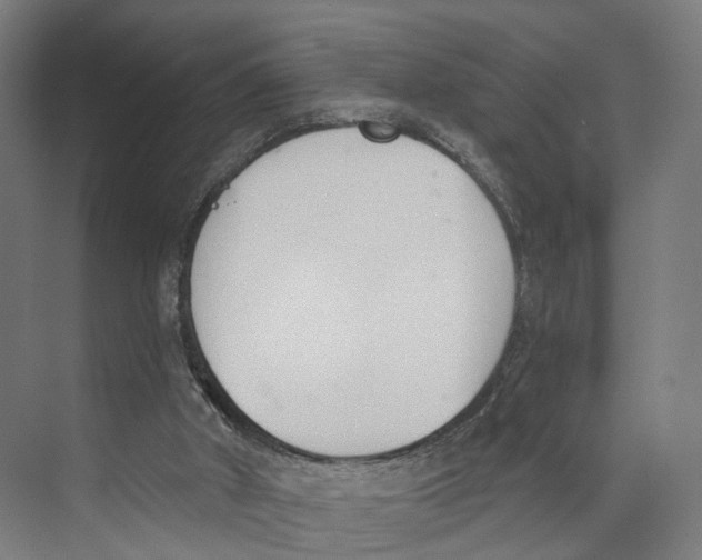 X0000073870010200609071711