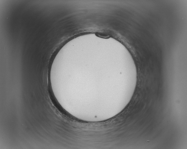 X0000073870011200609071711