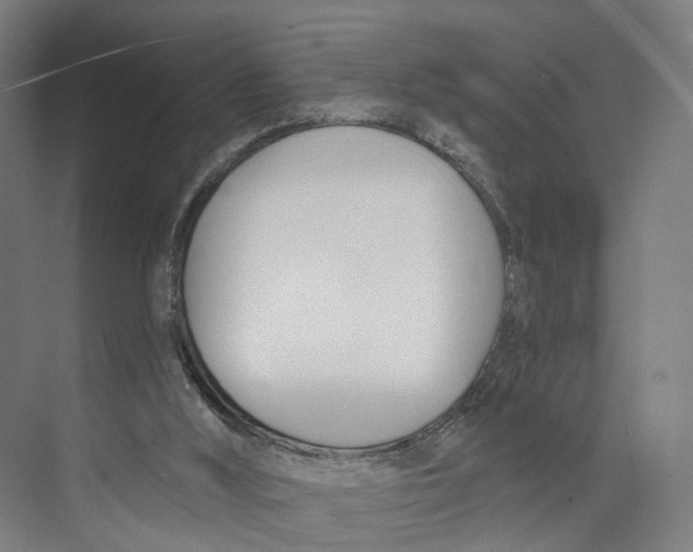 X0000073870012200609071711