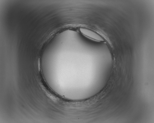 X0000073870013200609071711