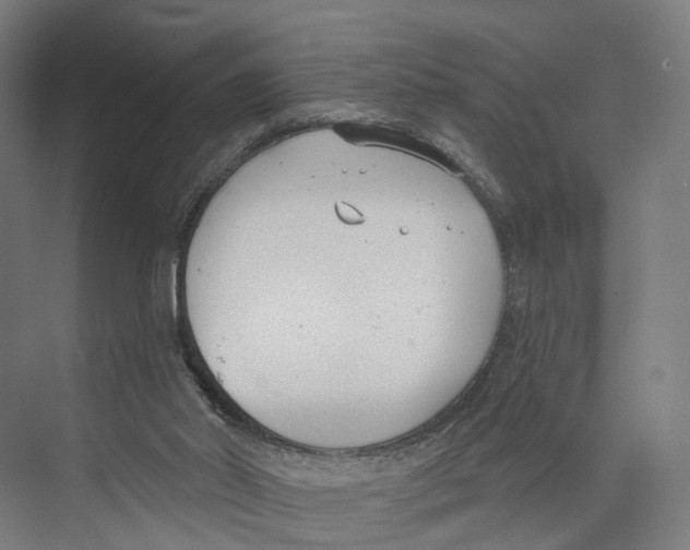 X0000073870014200609071711