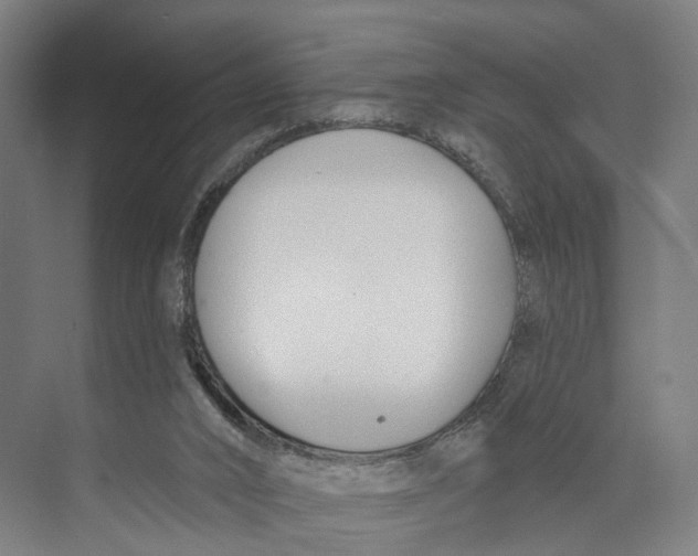 X0000073870016200609071711