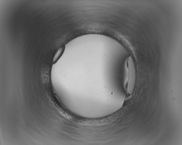 X0000073870017200609071711