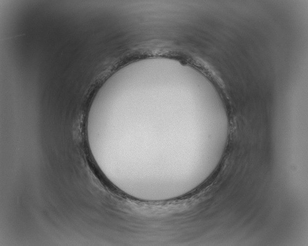 X0000073870018200609071711