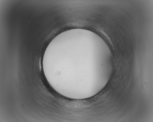 X0000073870020200609071711