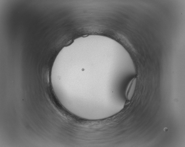 X0000073870021200609071711