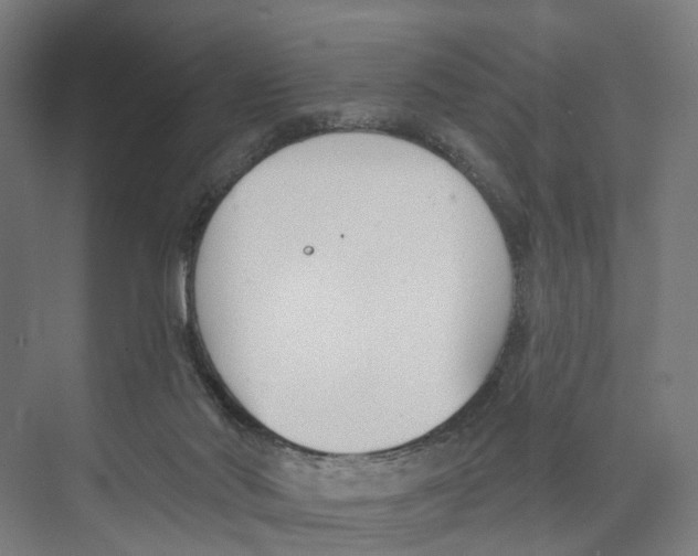 X0000073870022200609071711