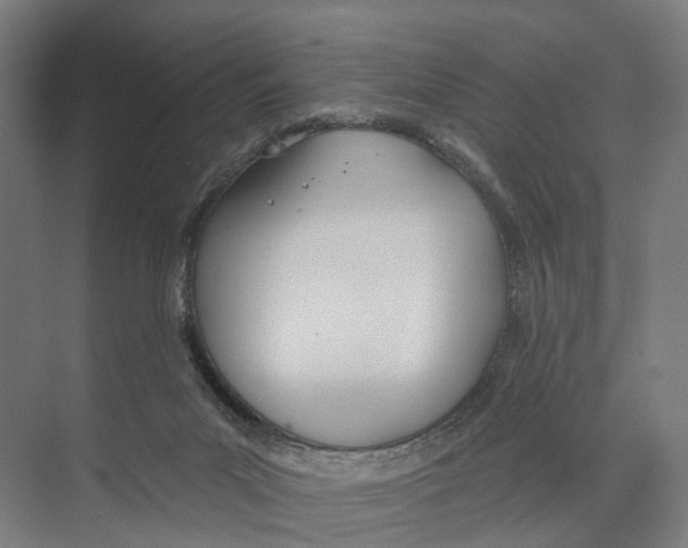 X0000073870023200609071711