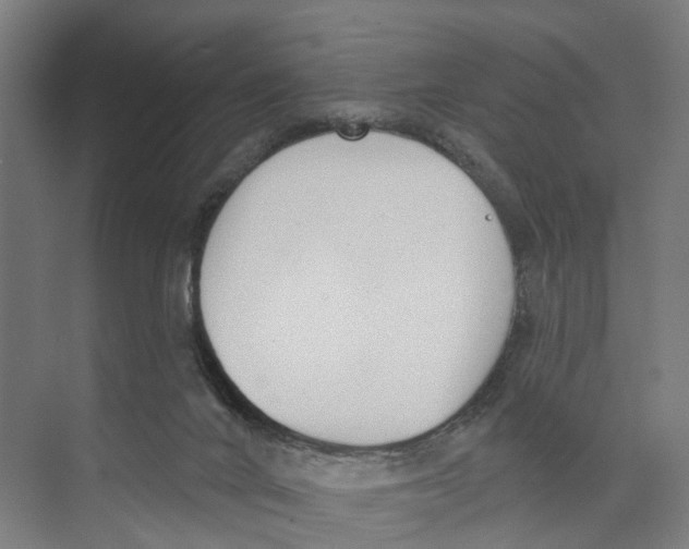 X0000073870024200609071711