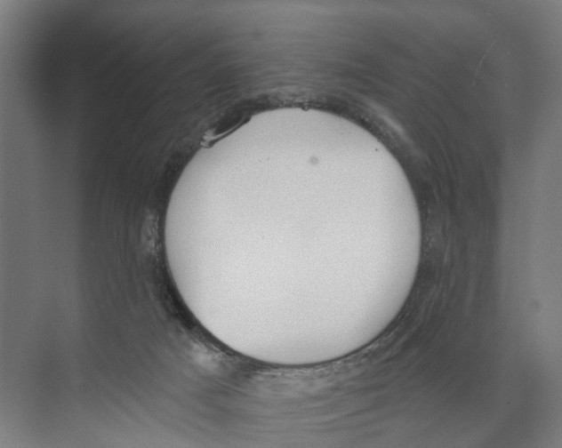 X0000073870025200609071711