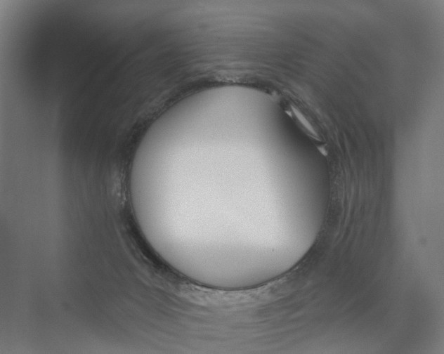 X0000073870031200609071710