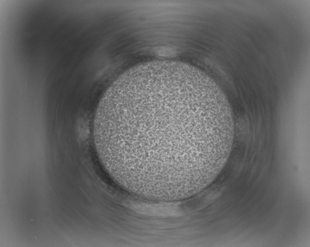 X0000073870032200609071710