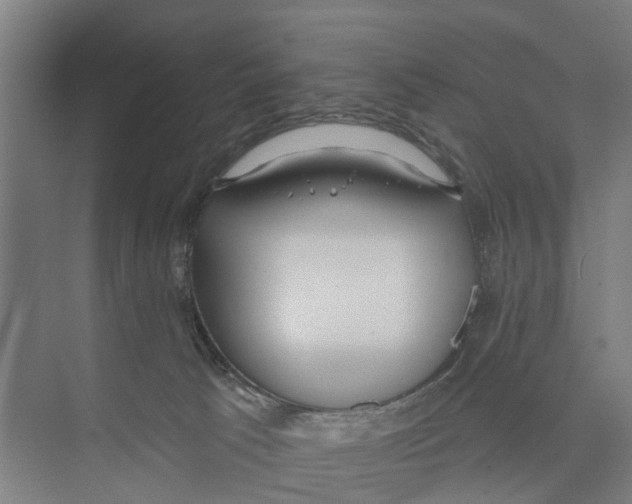 X0000073870033200609071710