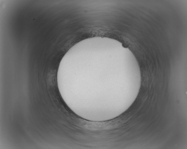 X0000073870034200609071710