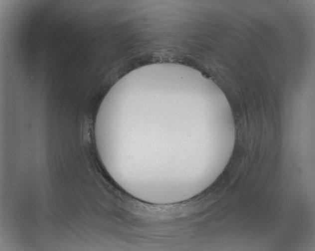 X0000073870038200609071710