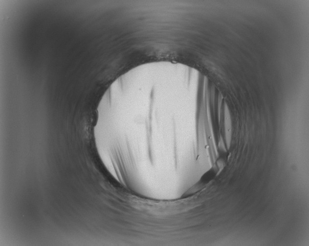 X0000073870039200609071710