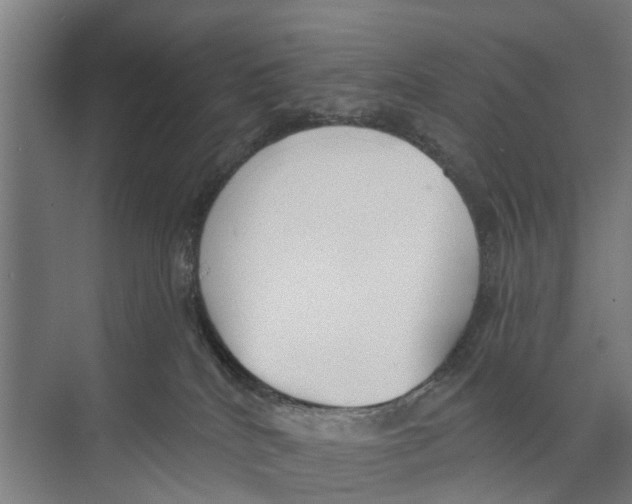 X0000073870040200609071710