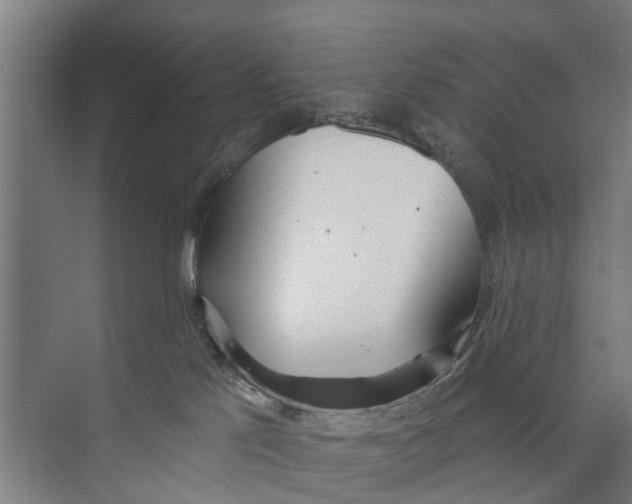 X0000073870041200609071710