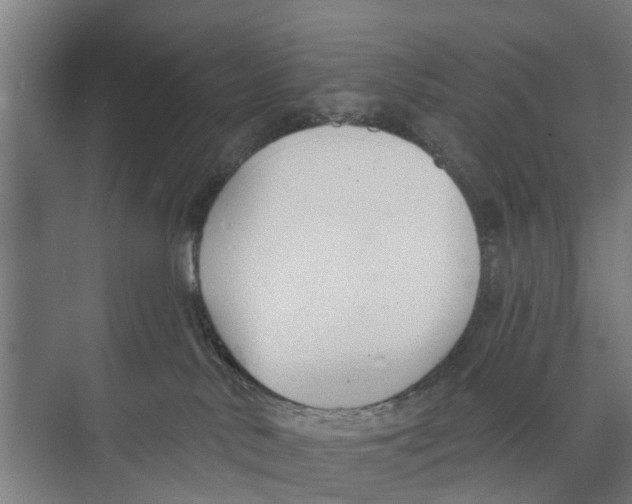 X0000073870042200609071710