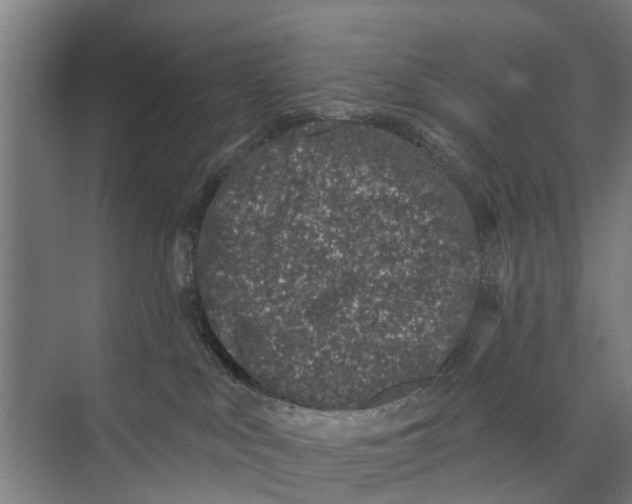 X0000073870043200609071710