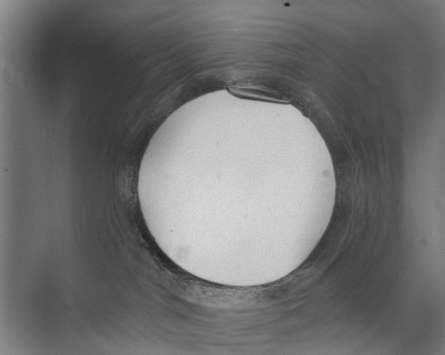 X0000073870044200609071710