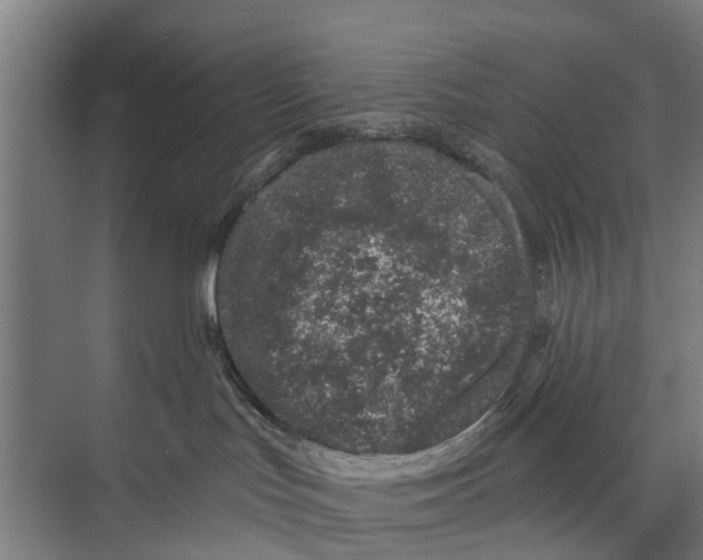 X0000073870047200609071710