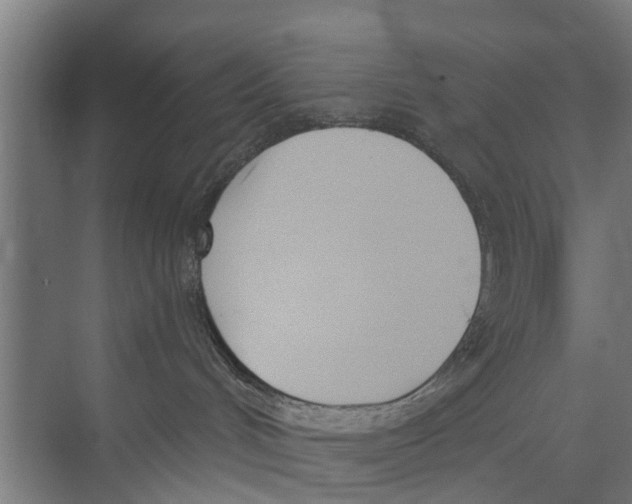 X0000073870048200609071710