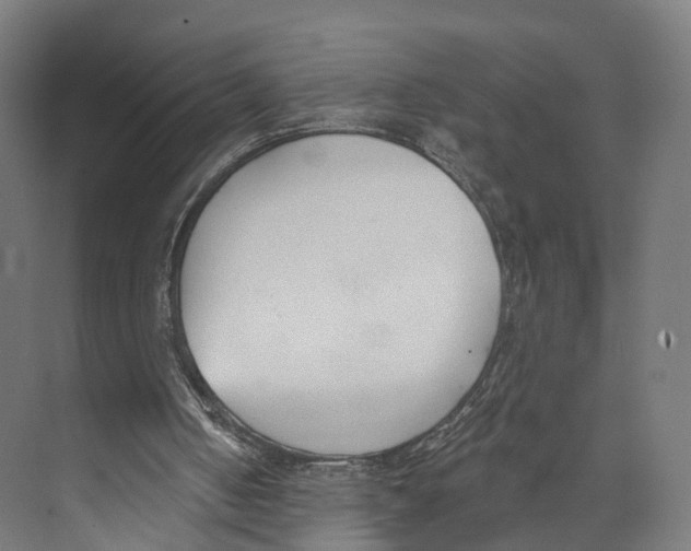 X0000073870050200609071709