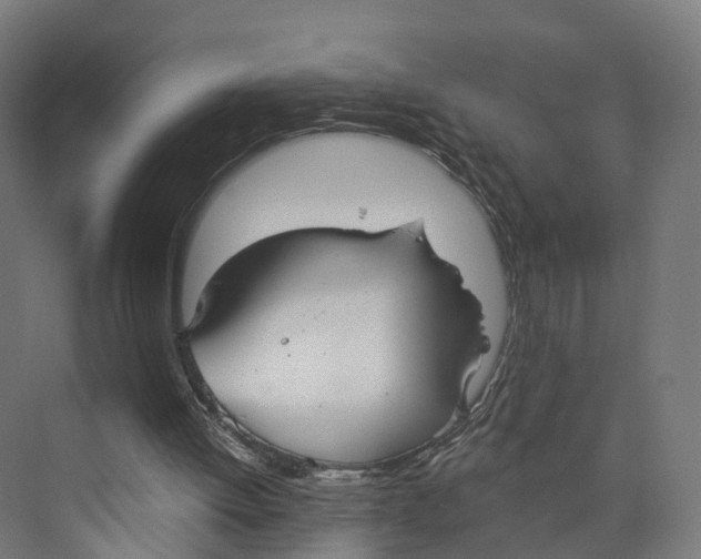 X0000073870052200609071709