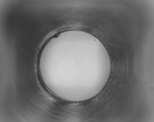 X0000073870054200609071709