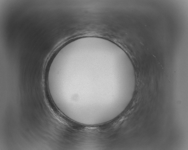 X0000073870055200609071709