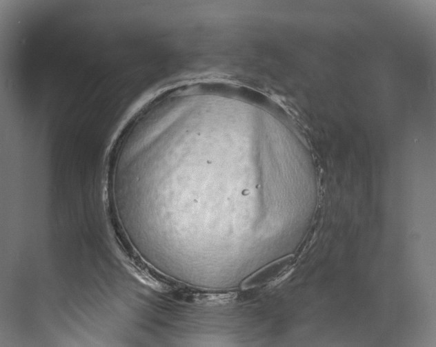 X0000073870056200609071709