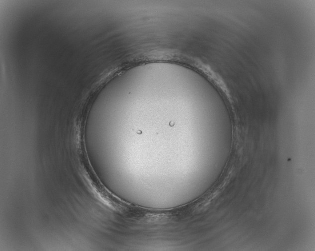 X0000073870057200609071709