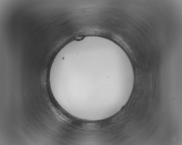 X0000073870058200609071709