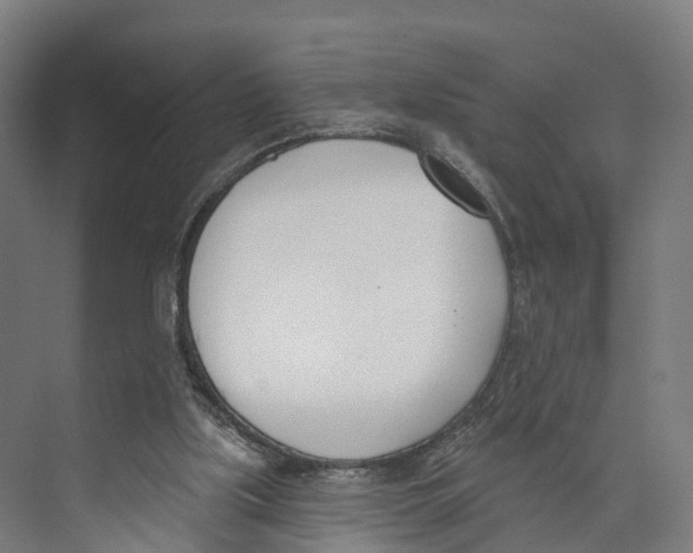 X0000073870059200609071709