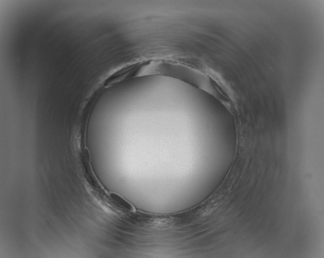 X0000073870060200609071709