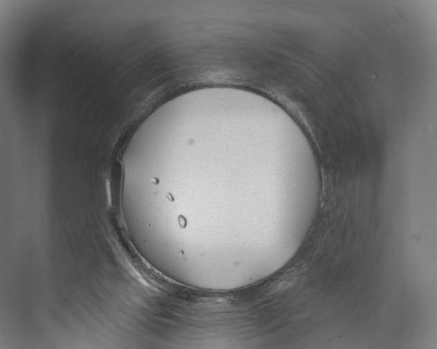 X0000073870061200609071710