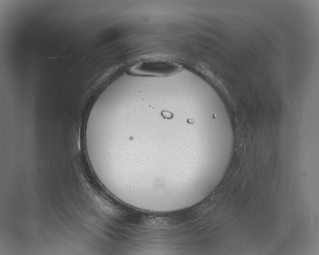 X0000073870062200609071710